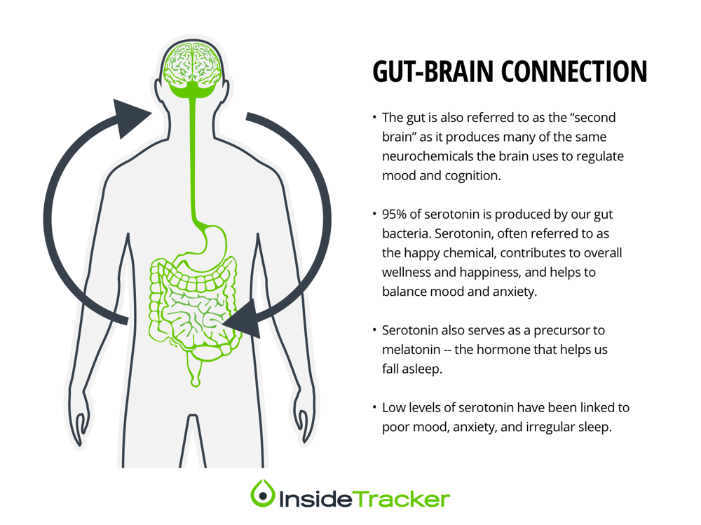 The GutBrain Axis How Gut Health Influences Dementia Risk